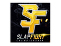 Póster de SlapFIGHT Championship